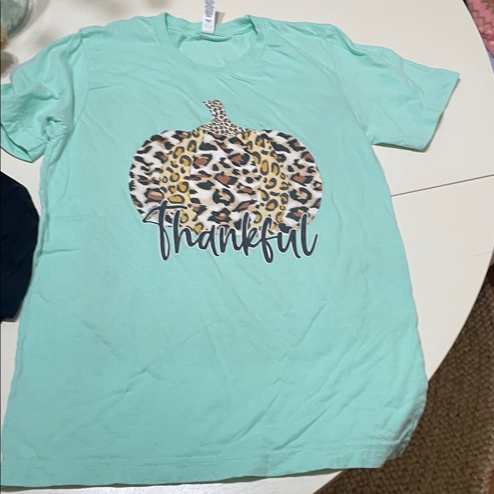 Thanksgiving, Thankful Mint Green womens Shirt, size small